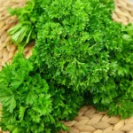 Parsley Seeds