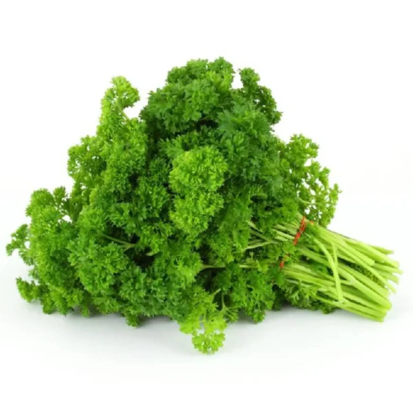 Parsley Seeds