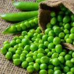 Peas Seeds