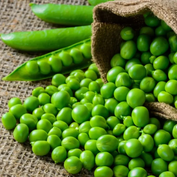 Peas Seeds