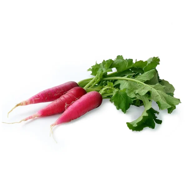 Radish Seeds