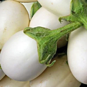 White Hybrid Brinjal Seeds