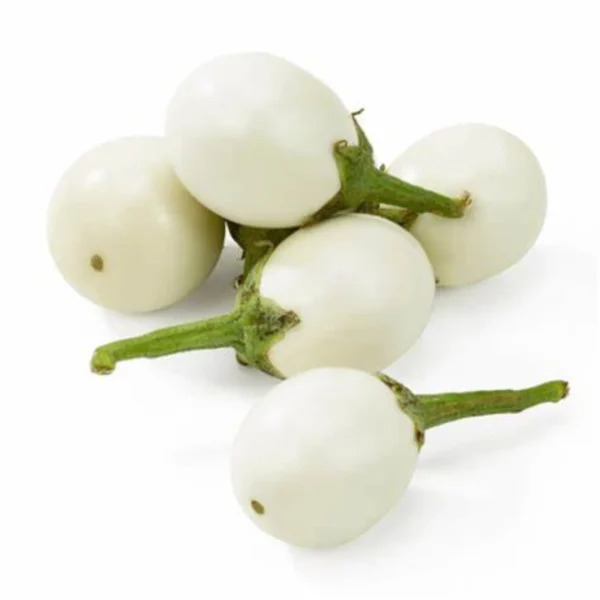 White Hybrid Brinjal Seeds
