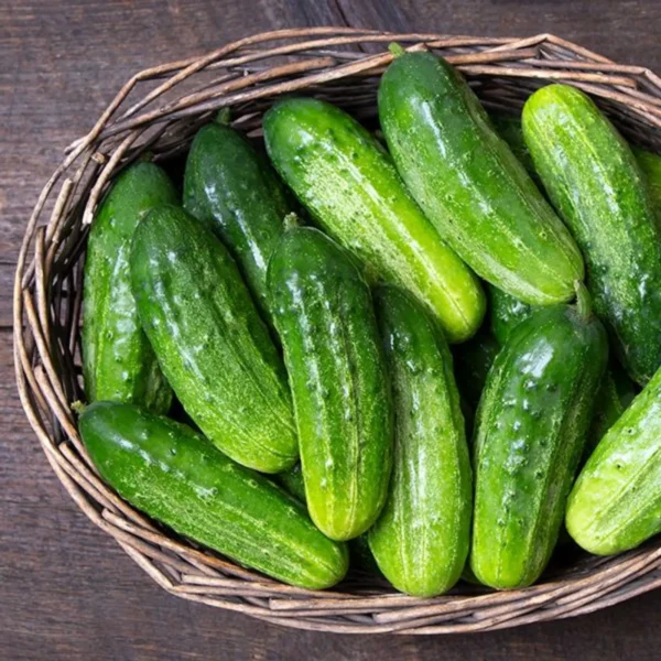Leaffyco Cucumber seeds