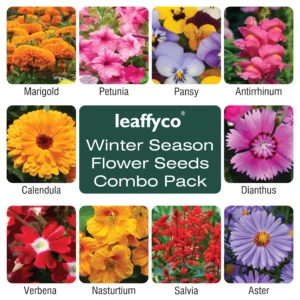 Leaffyco Winter Season Flower Seeds Combo Pack 10