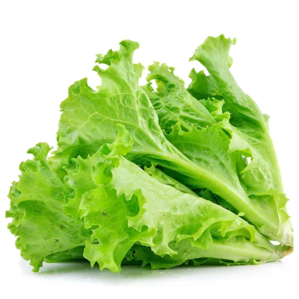 Lettuse_seeds_1 Lettuce seeds