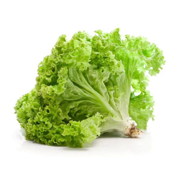 Lettuce Seeds