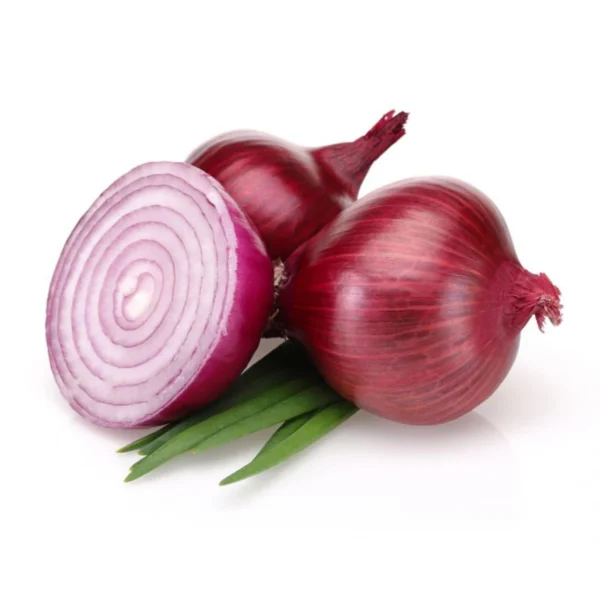 Onion Seeds