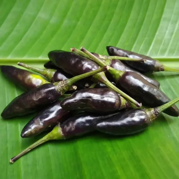Hungarian Black Pepper Seeds