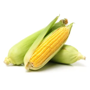 Leaffyco Corn Seeds