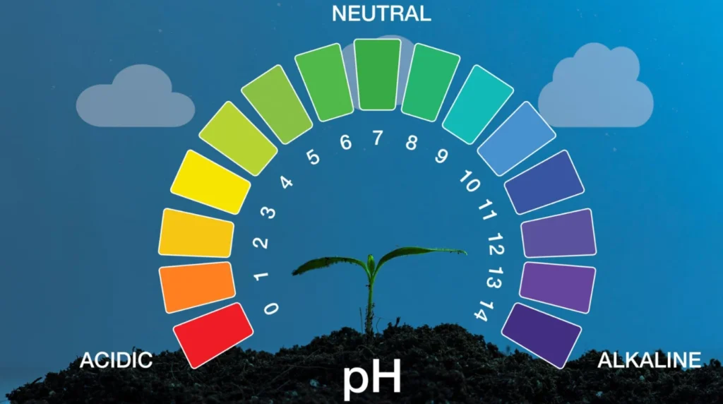 Plant growth: 7 powerful ways to build healthy soil for maximum results Plant growth: 7 powerful ways to build healthy soil for maximum results