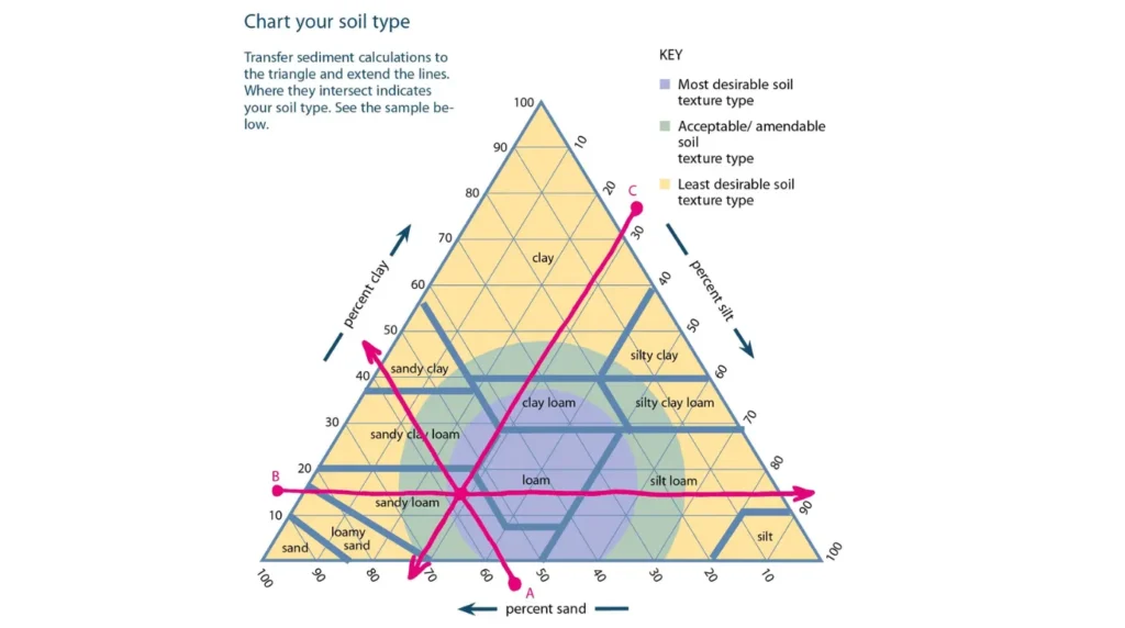 Plant growth: 7 powerful ways to build healthy soil for maximum results Plant growth: 7 powerful ways to build healthy soil for maximum results