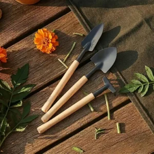 Buy plant, seed, pot, fertilizer @ lowest price | leaffyco® Bonsai tool set