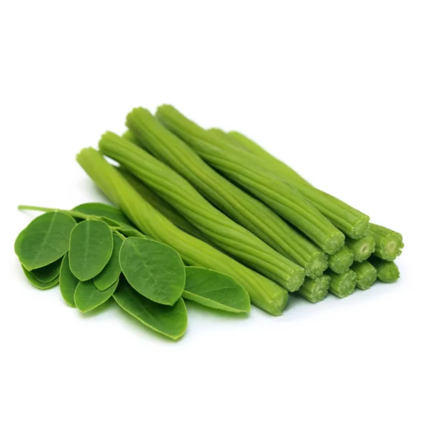 Drumstick moringa seeds
