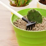 Leaffyco Bonsai Tool Set