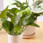 bottle watering nozzle