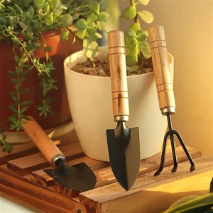 Buy plant, seed, pot, fertilizer @ lowest price | leaffyco® 3 piece small gardening tool set