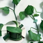 Leaf Shape Wall Plant Clips