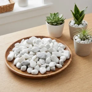 Leaffyco White Pebbles for plants