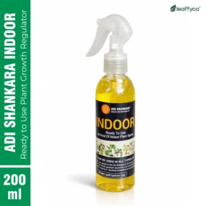 Adi Shankara Indoor Plant Growth Regulator