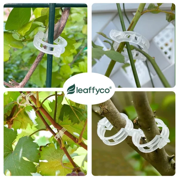 Plant Stem Support Clip