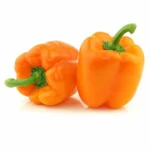 Orange Capsicum_seeds