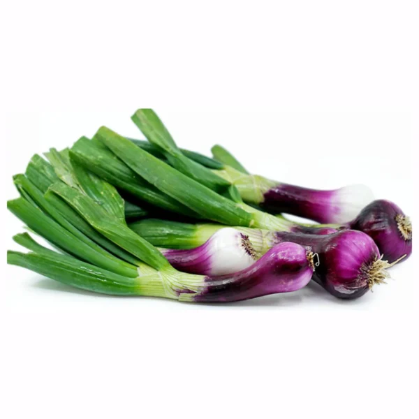Spring onion seeds