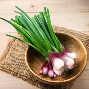 Spring Onion Seeds
