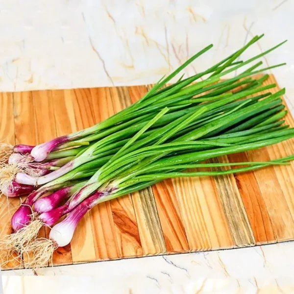 Spring Onion Seeds