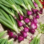 Spring Onion Seeds