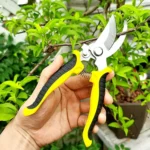 Garden Scissor
