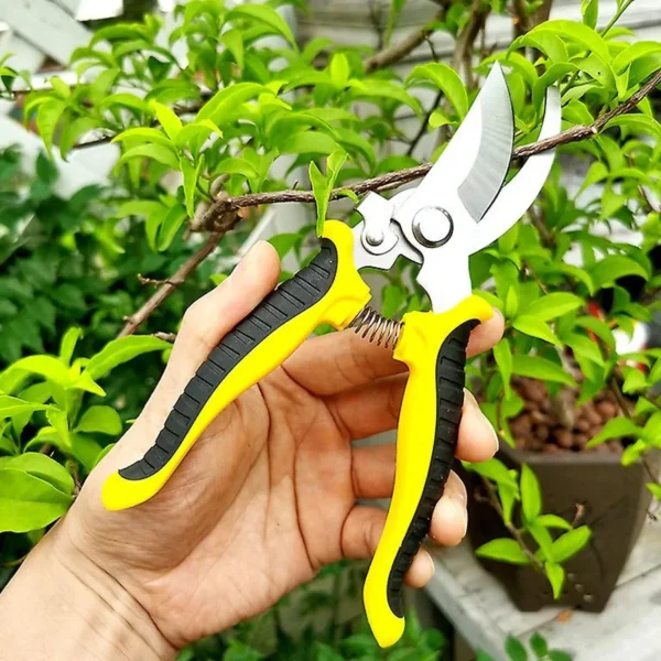 Garden Scissor