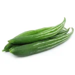 Snake Gourd Seeds