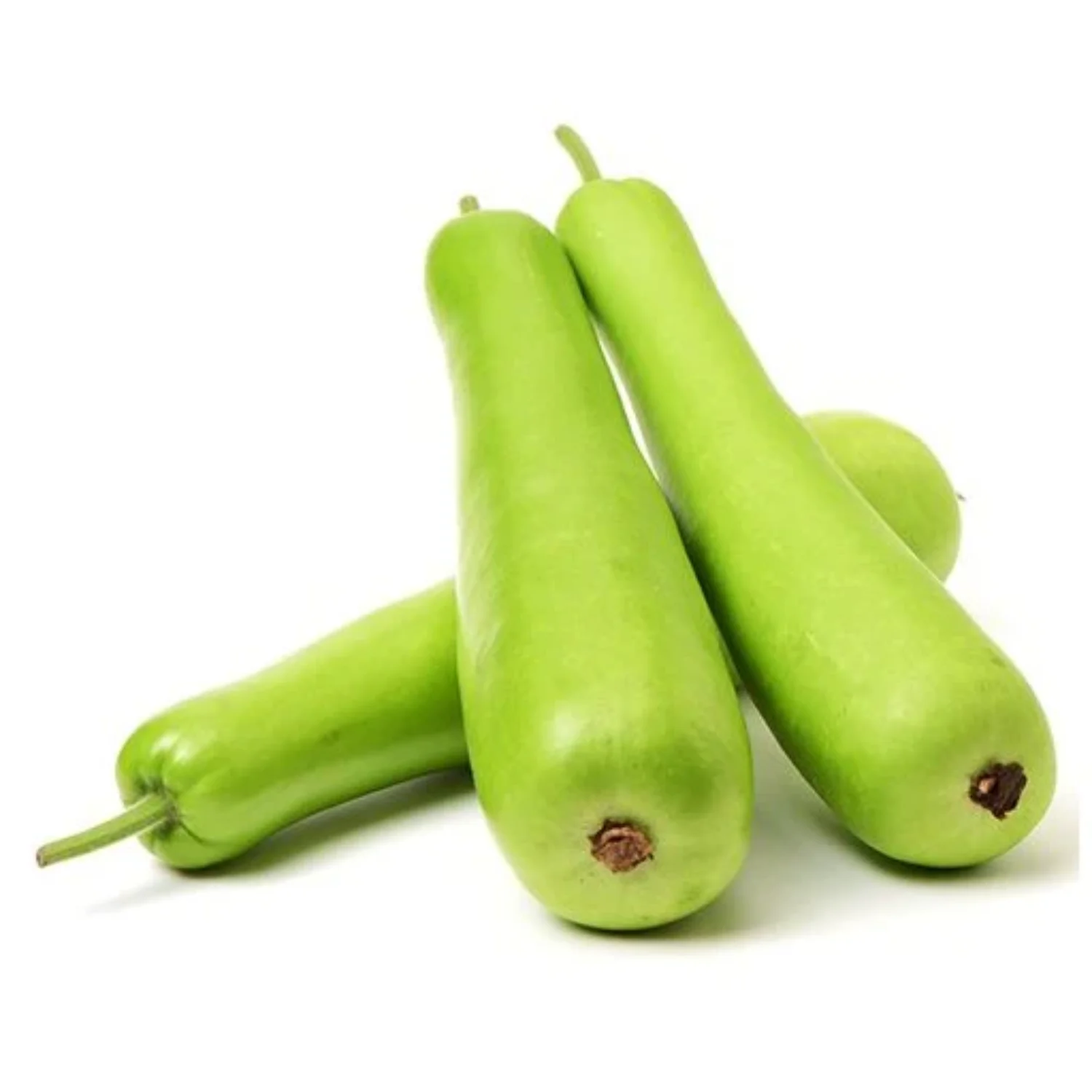Bottle Gourd Seeds