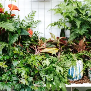 Lawns & Plant Beds